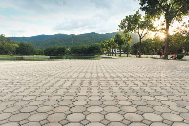 Best Cobblestone Driveway Pavers  in Longview, WA